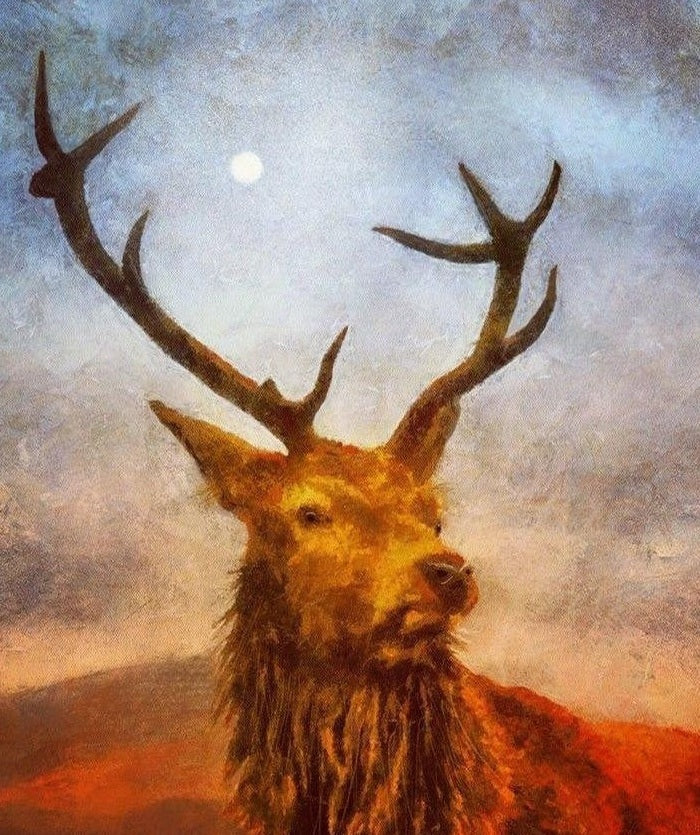 A Moonlit Highland Stag Art Prints from my Highlands & Lowlands Art Gallery Collection