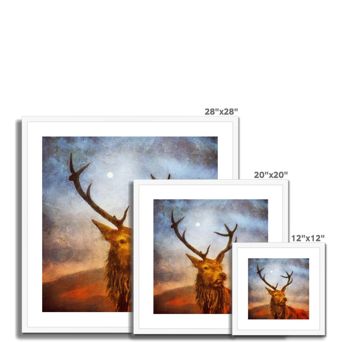 A Moonlit Highland Stag Painting | Framed & Mounted Prints From Scotland